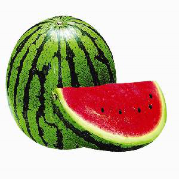 大肚區農會-西瓜