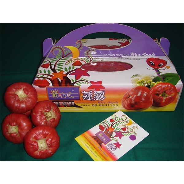 南州地區農會-鮮果奇緣-蓮霧